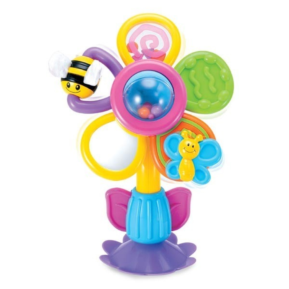 Cây hoa xúc xắc Bkids