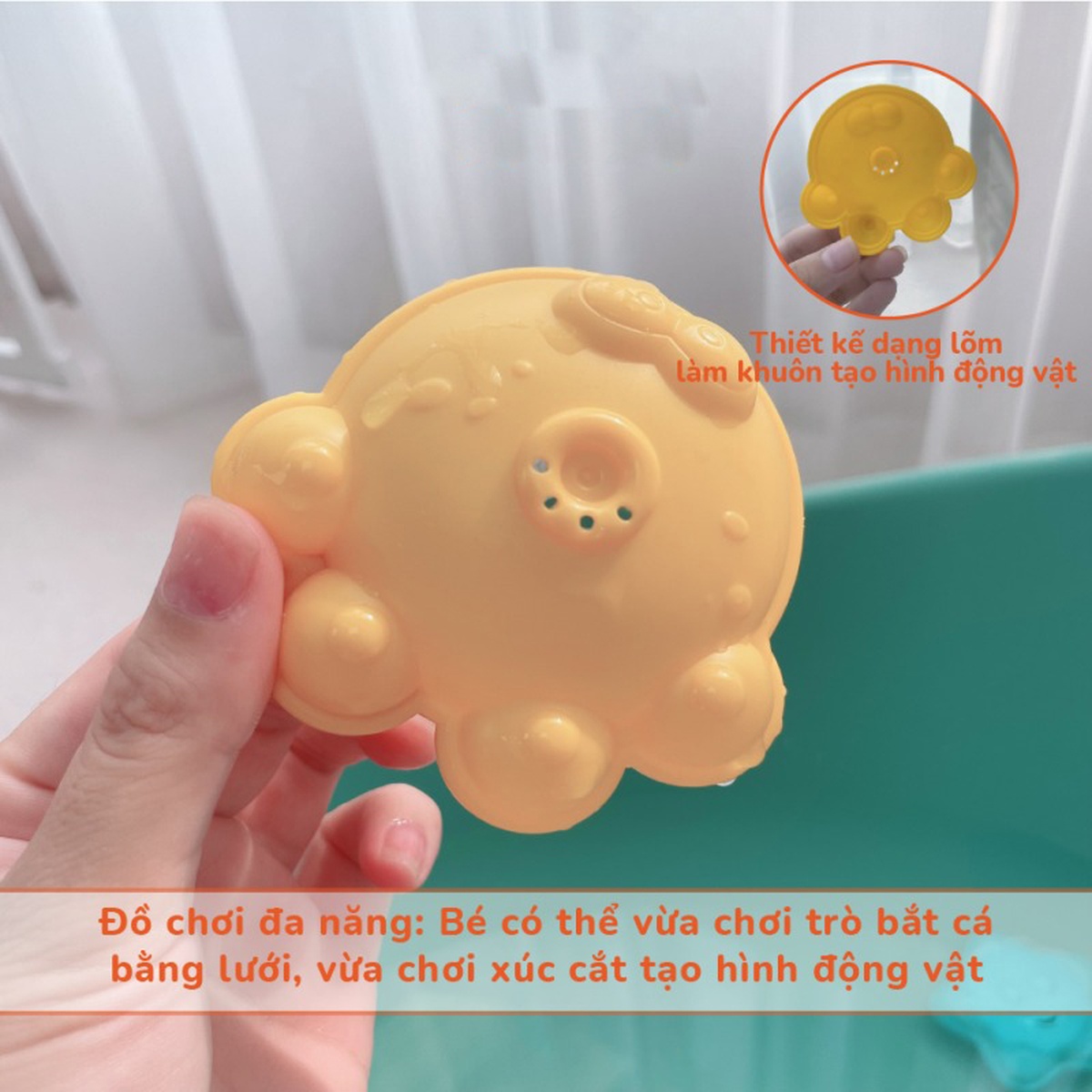 Sét vợt bắt cá và 5 sinh vật biển HE0229 - mặt trước