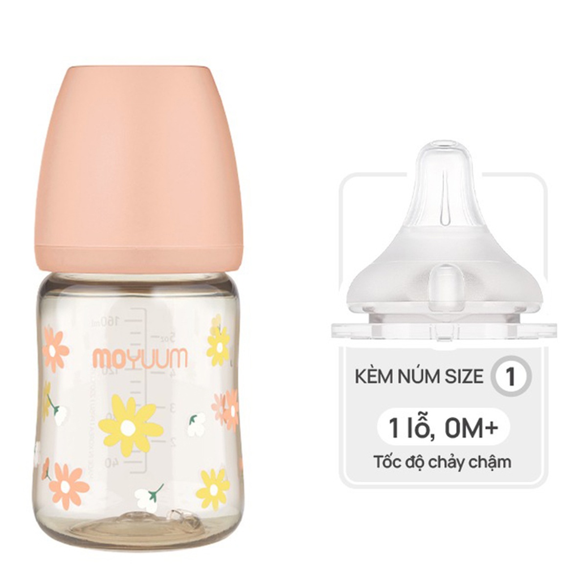 Bình sữa Moyuum PPSU Daisy hoa cúc 170ml - mặt trái