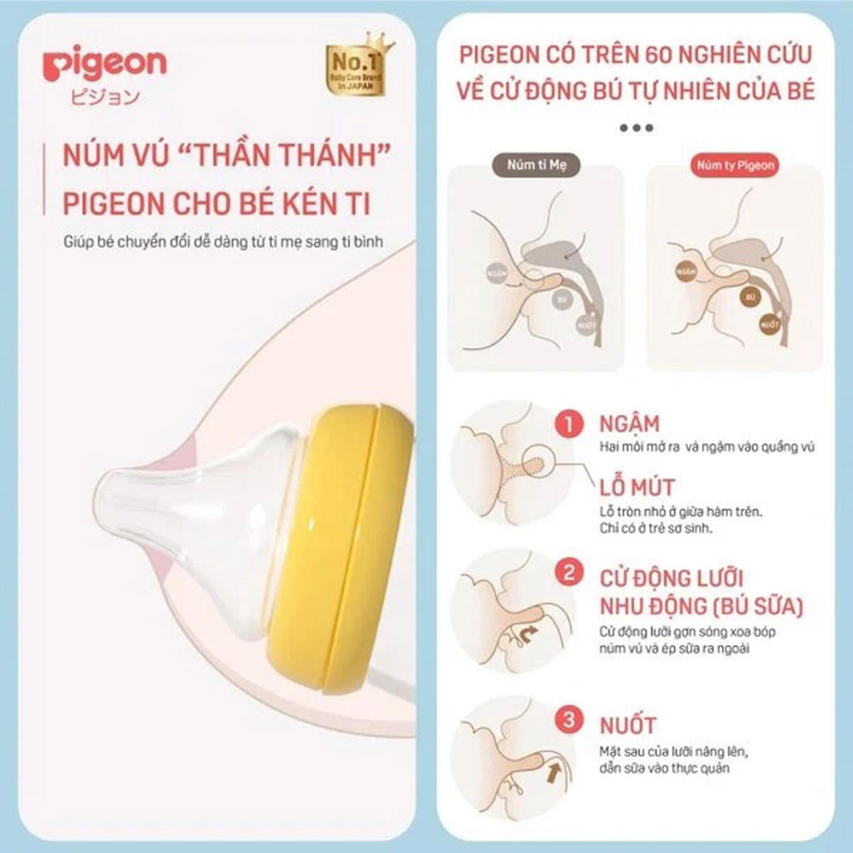 Bình sữa Pigeon PP Plus họa tiết xanh 240ml - mặt phải