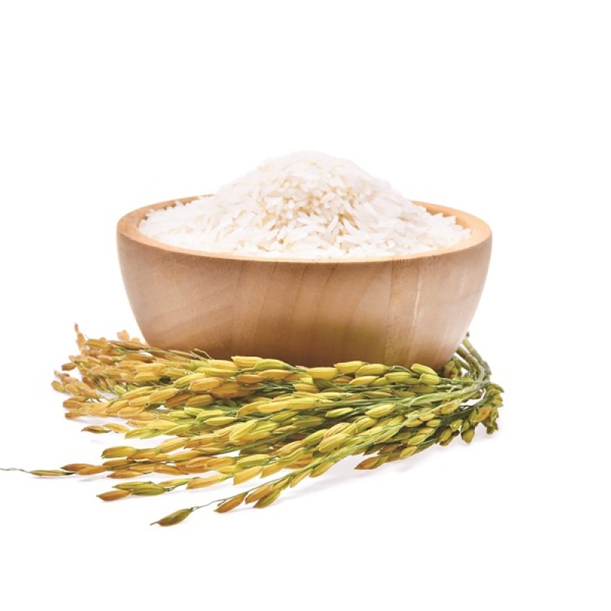 Gạo thơm ST25 Ông Cua Túi 5kg - mặt trái