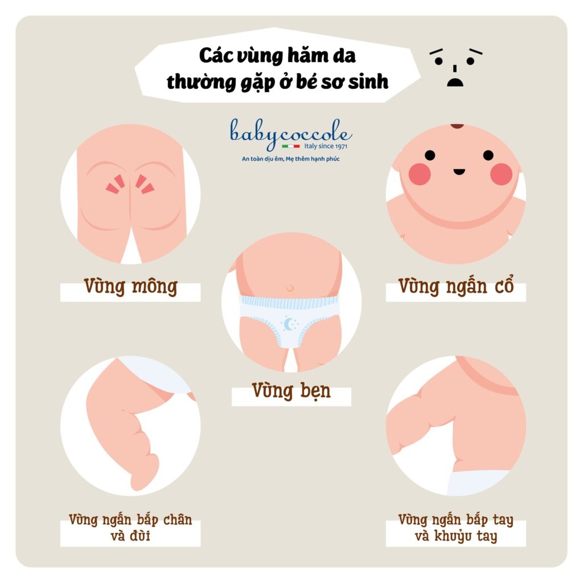 Kem chống và trị hăm chiết xuất hoa cúc, PANTHENOL và ZnO Babycoccole 0M+ 75ml - hình 9
