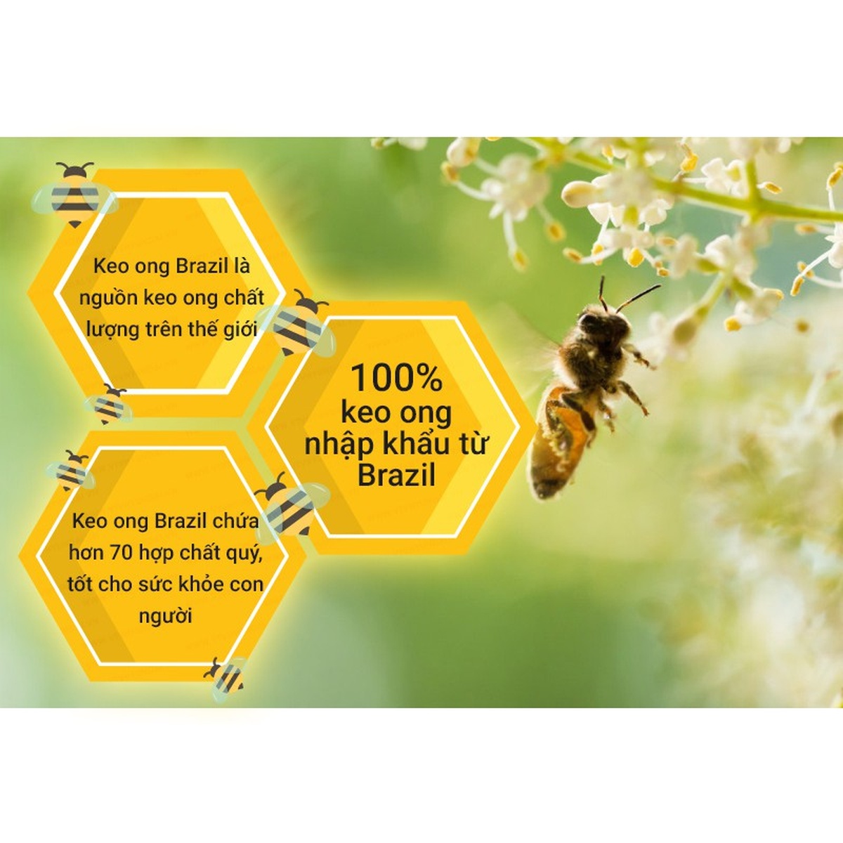 Keo ong Tracybee vị trái cây trị viêm họng 30ml - hình 11