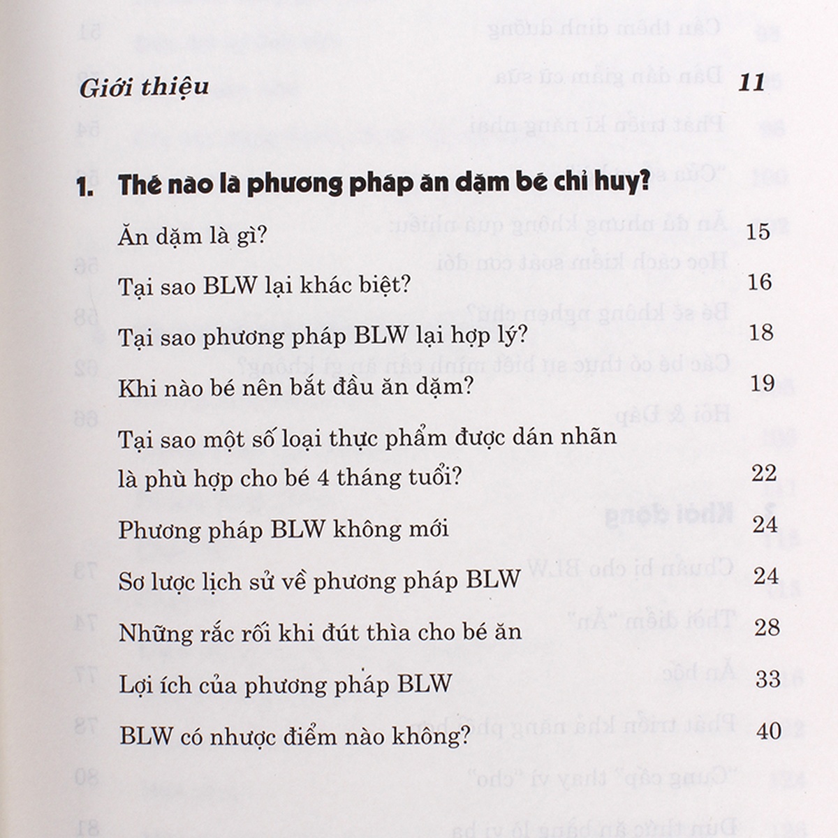 Sách phương pháp ăn dặm bé chỉ huy - mặt trái