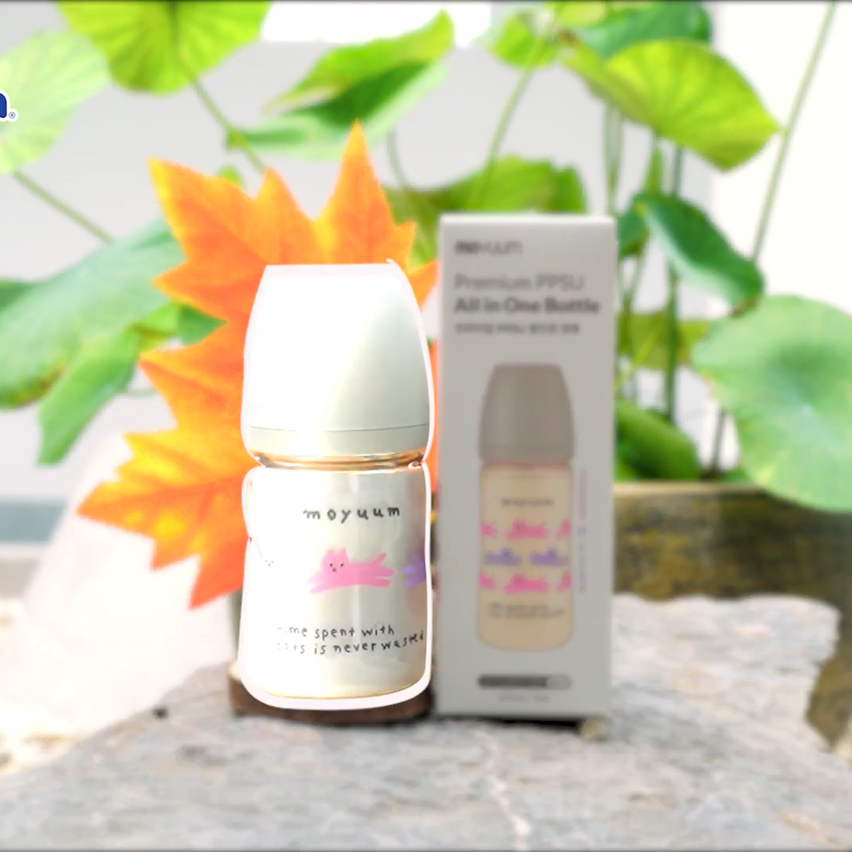 Bình sữa Moyuum PPSU in Cat 270ml (Màu tím) - video