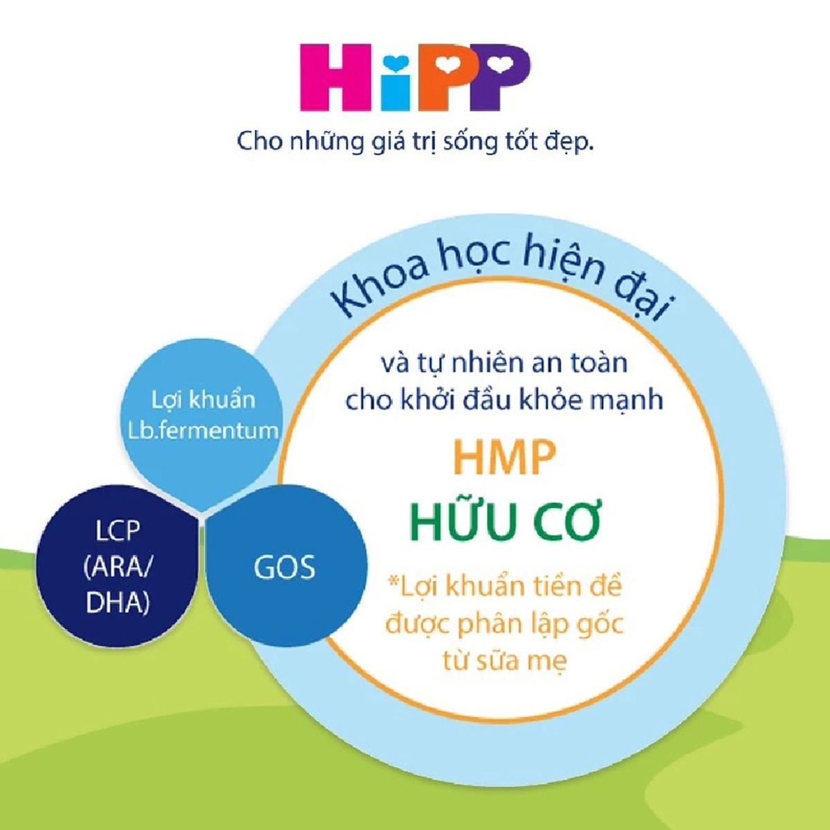 Sản phẩm dinh dưỡng công thức Hipp Organic Combiotic số 1 800g (cho bé từ 0-6 tháng) - hình 7