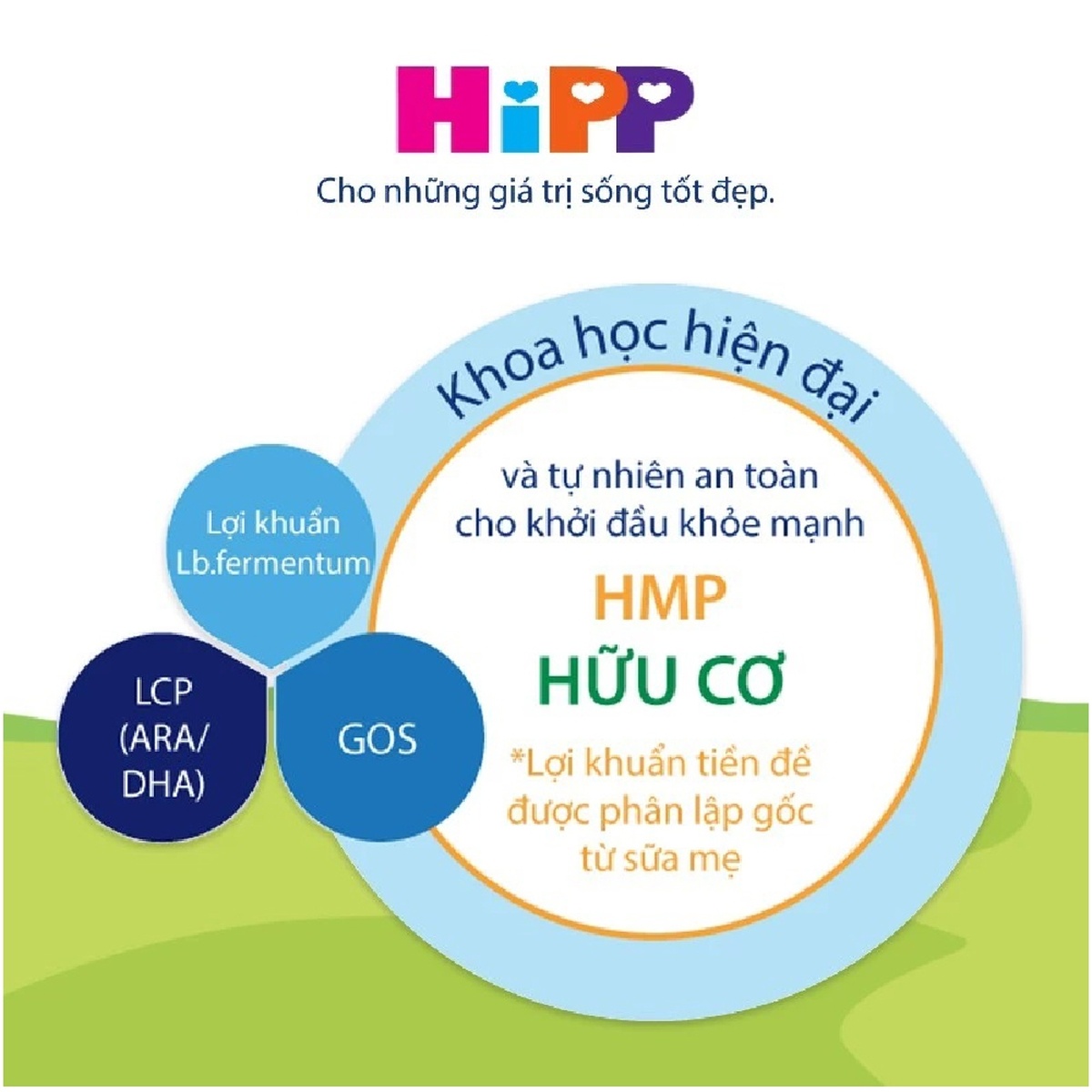 Sữa HiPP số 2 Organic Combiotic HMP (cho bé 6-12 tháng) 800g - hình 7