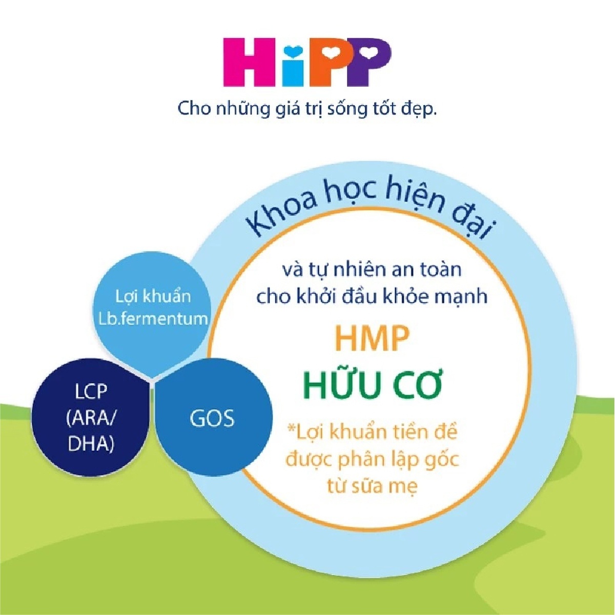 Thực phẩm bổ sung Hipp số 4 Organic Combiotic HMP 800g cho bé trên 3 tuổi - hình 7