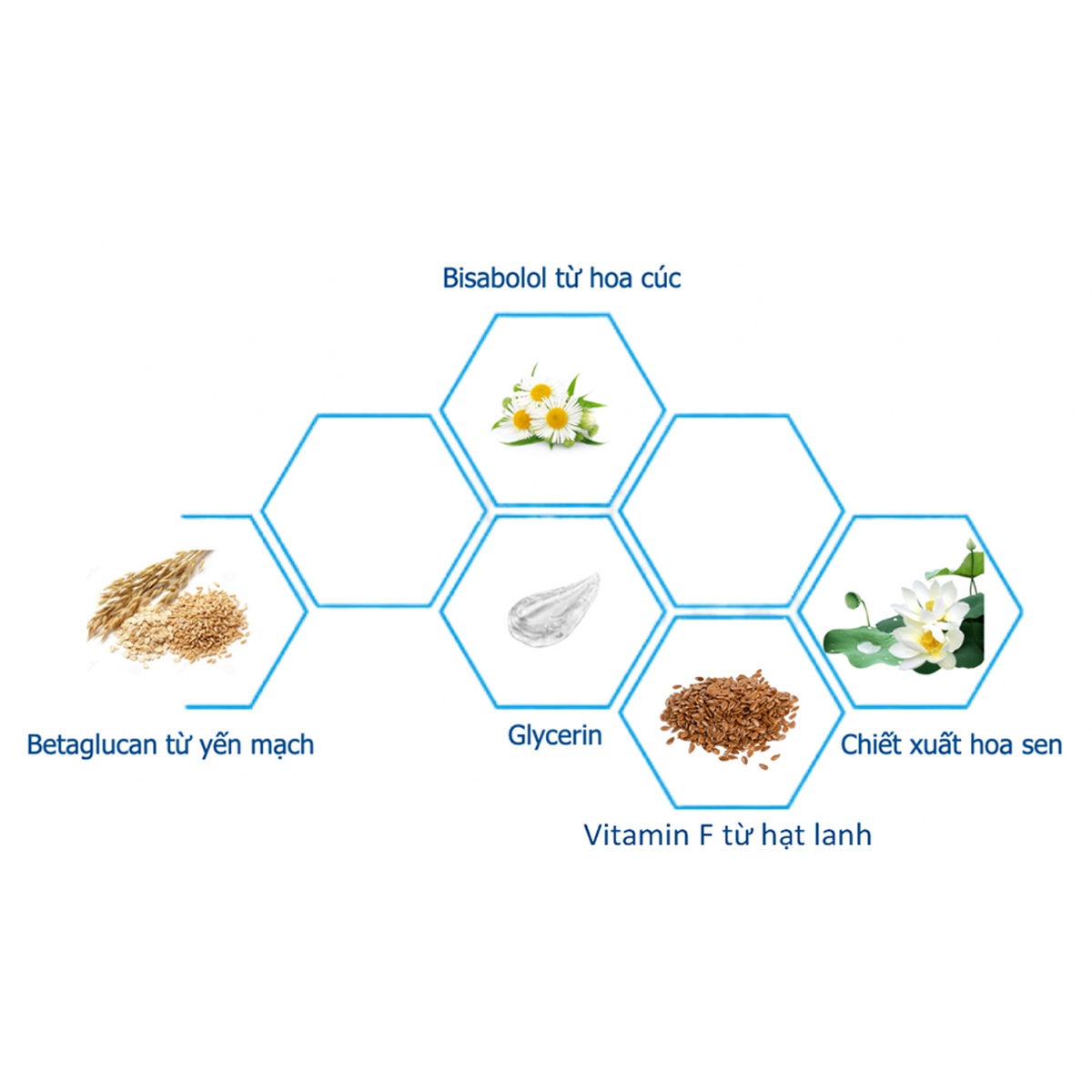 Sữa tắm dưỡng ẩm cho bé Babycoccole chiết xuất hoa sen 250ml 0M+ - hình 8