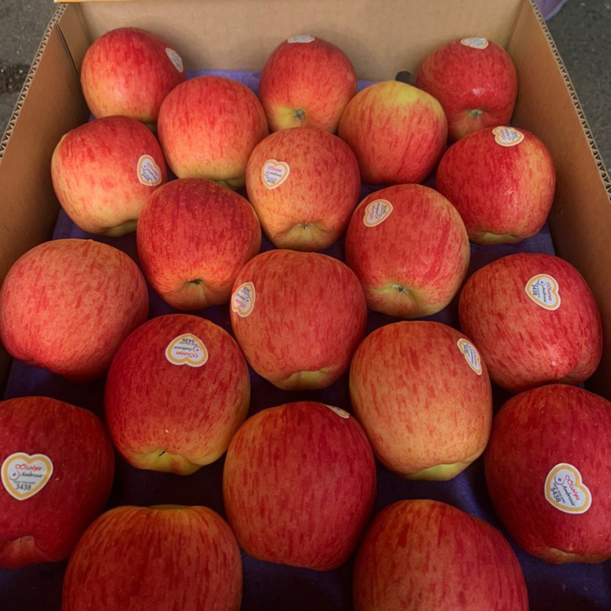 Táo Ambrosia New Zealand - mặt phải
