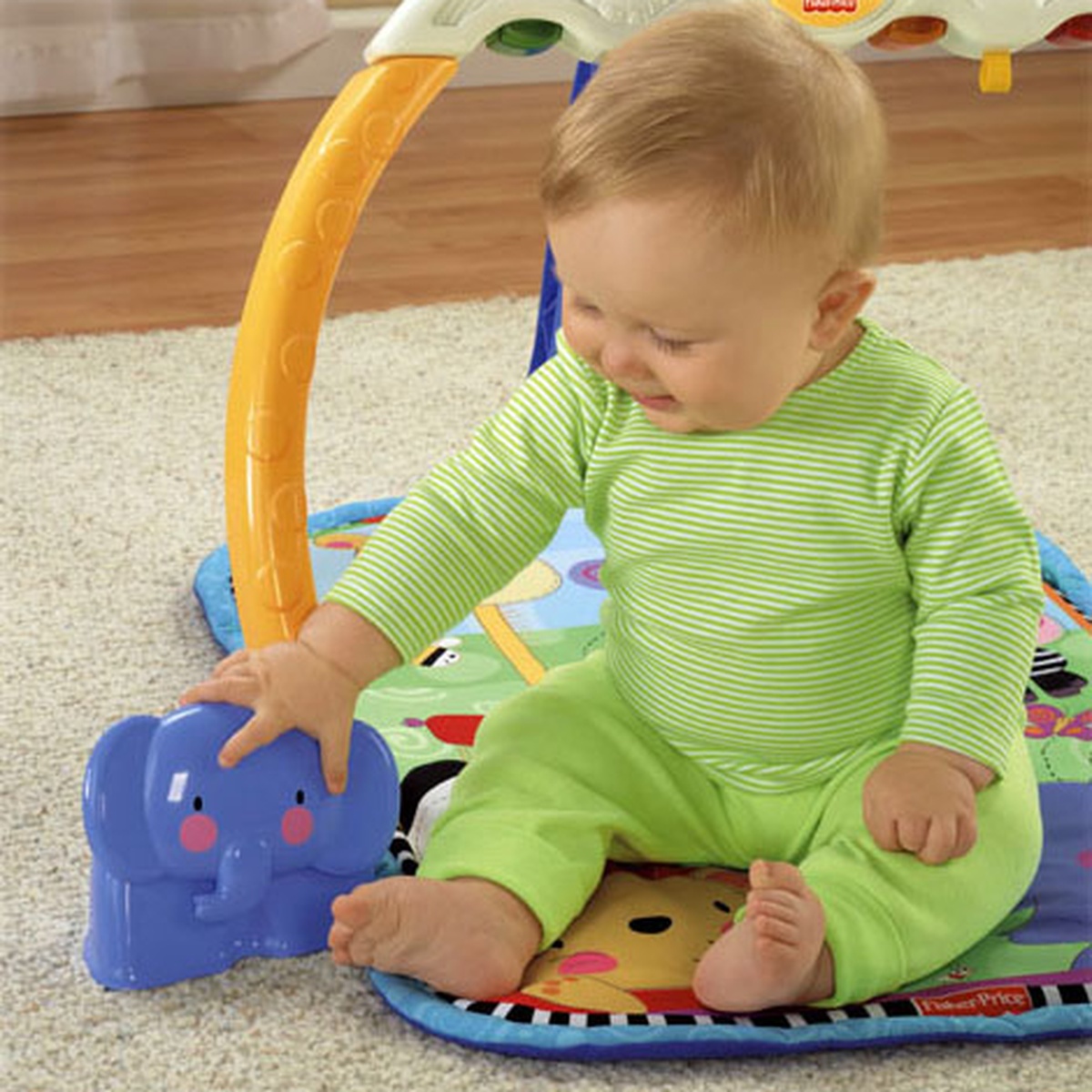 Thảm chơi có nhạc Fisher Price W9898 - hình 6