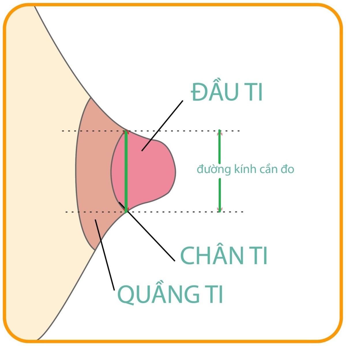 Trợ ty cho mẹ Medela - mặt phải