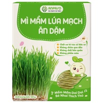Mì ăn dặm mầm lúa mạch Organic Anpaso 120g