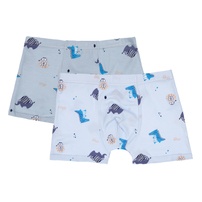 Set 2 quần chip đùi bé trai 14110 AC21 (size XL)