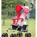 Xe đẩy trẻ em Seebaby S02-1 - mặt sau
