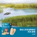 Bánh gạo ăn dặm Rivsea hữu cơ vị nguyên bản - mặt trái