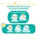 Bỉm - Tã quần Pampers cao cấp Nhật Bản size M 48 miếng - hình 8