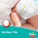 Bỉm - Tã quần Pampers Super Jumbo size M 74 miếng cho bé 7-12kg - hình 10