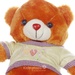 Đồ chơi gấu bông mặc áo Kids Love - hình 6