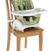 Ghế ăn bột Fisher Price BCK62 Space Saver  - mặt trái