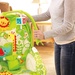 Ghế rung Fisher Price - Rainforest Friends X7047 - hình 14