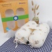 Gối chặn Kids Plaza Muslin hình cầu vòng PG23 - mặt trước