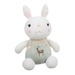 Thú bông hình chú thỏ đáng yêu Terimiru Rabbit Metoo  - mặt sau