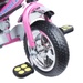 Xe đạp 3 bánh Baby Tricycle Flamingo X7 Màu hồng cho bé - hình 6