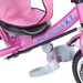 Xe đạp 3 bánh Baby Tricycle Flamingo X7 Màu hồng cho bé - góc nghiêng