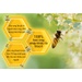 Keo ong Tracybee vị trái cây trị viêm họng 30ml - hình 11