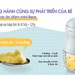 Máy xay ăn dặm cho bé Bear GR-B03V2 0,3 lít - hình 8