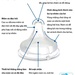 Núm ty Pigeon silicone cổ rộng siêu mềm size L - mặt phải