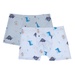 Set 2 quần chip đùi bé trai 14110 AC21 (size XL) - mặt trước