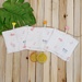 Set quà tặng sơ sinh xô in hình thỏ KidsPlaza M21H (0-6M) - mặt phải