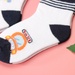 Tất sơ sinh Kiza 2018bss-576 set 3 đôi (6-24M) - hình 12