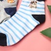 Tất sơ sinh Kiza 2018bss-550 set 3 đôi (6M-5Y) - hình 7