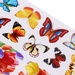 Tranh dán tường Wall Sticker loại nhỏ - mặt trái