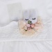 Váy cotton đính nơ hình chú thỏ Htkids  - mặt trái