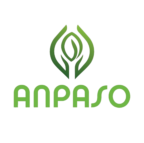 Anpaso