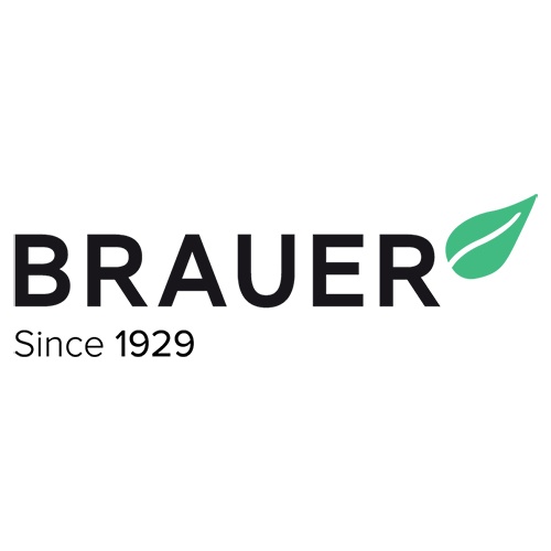 Brauer