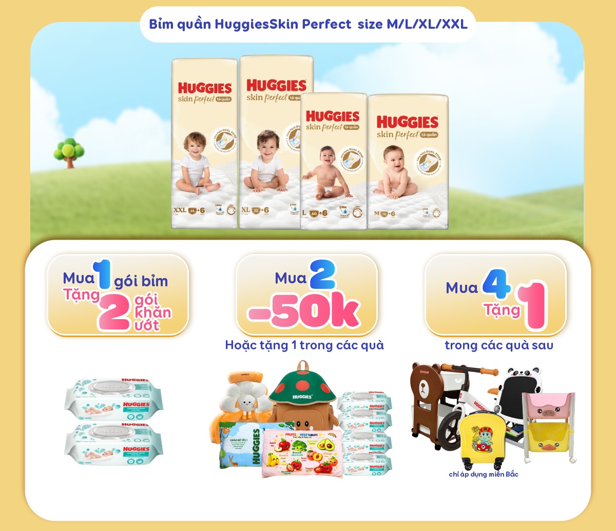 Image Widget
