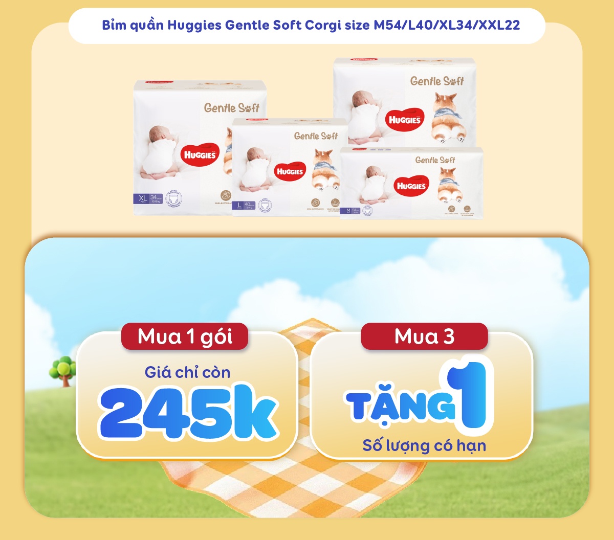 Image Widget