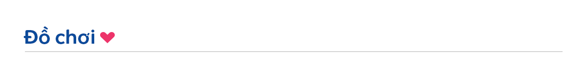 Image Widget