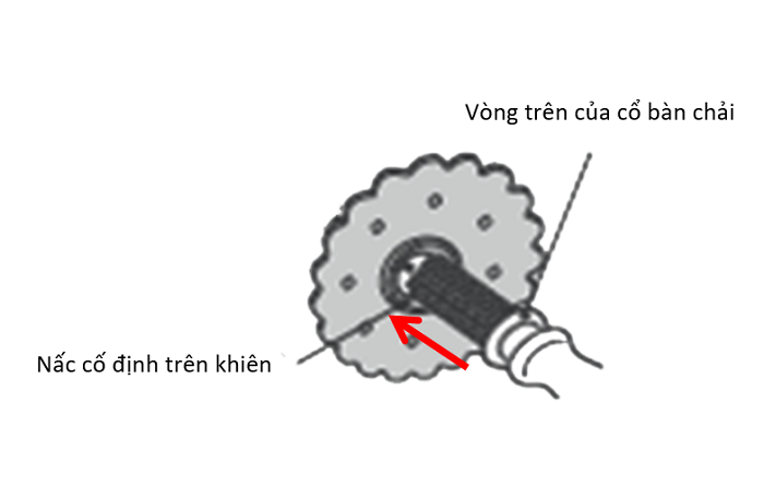 Bàn chải bước 2 Richell RC20108 (6M+) hình 5