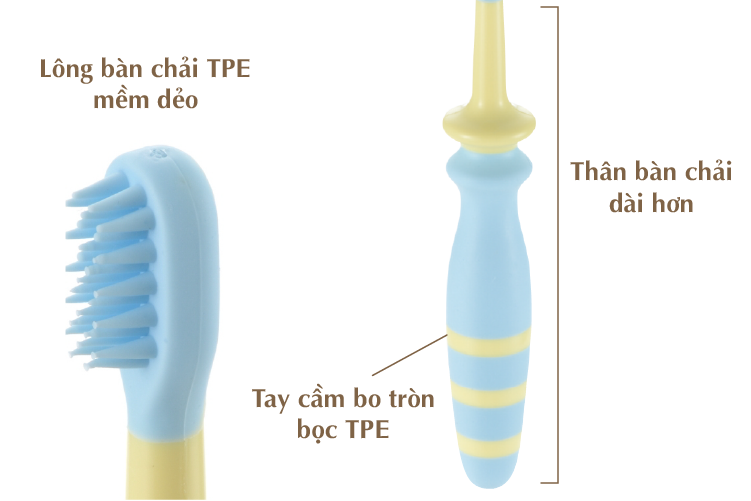 Bàn chải bước 3 Richell RC20109 (8M+) (Màu ngẫu nhiên) hình 2
