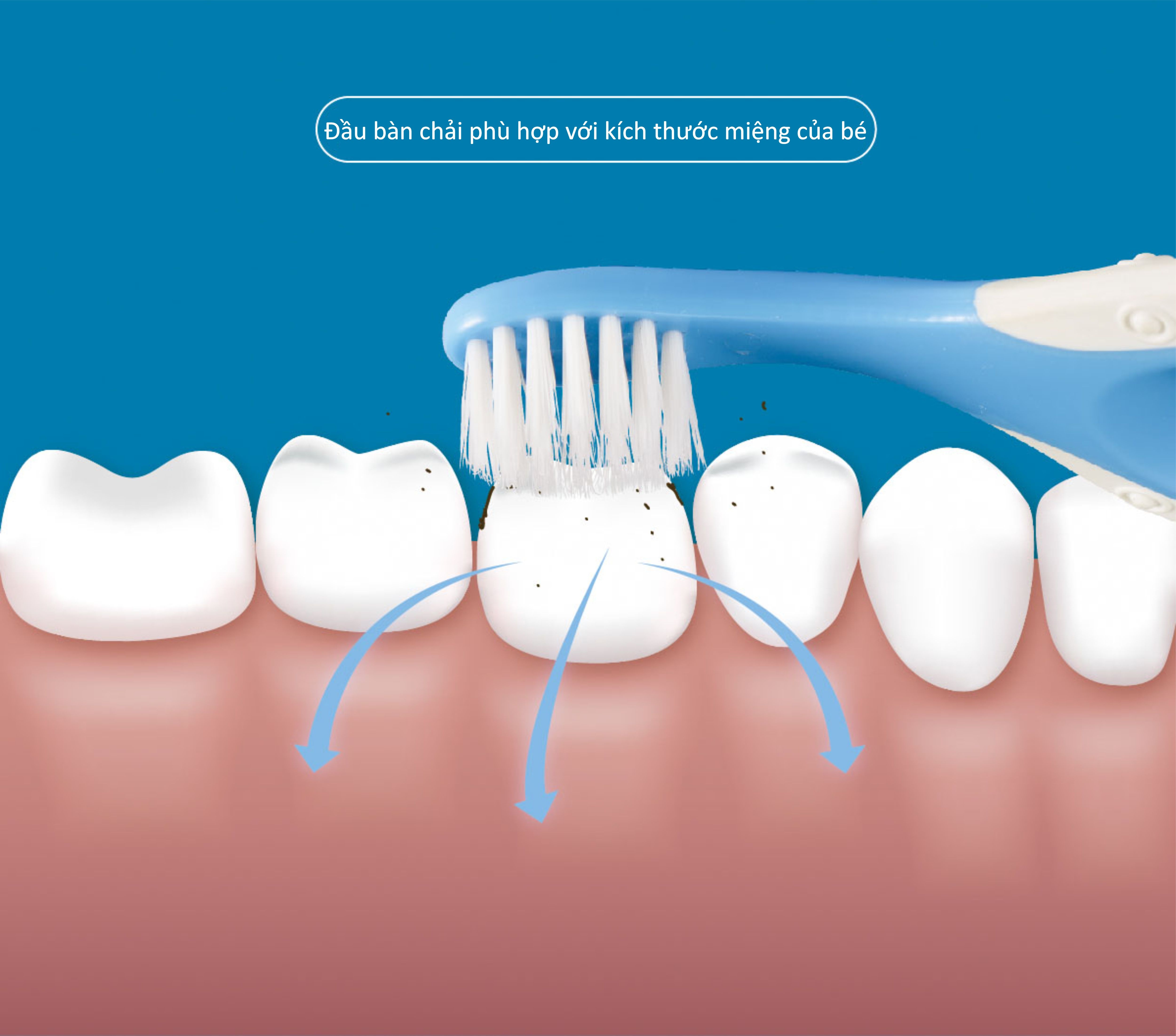 Bàn chải đánh răng cho bé KuKu KU1183 (0-3 tuổi) (Màu ngẫu nhiên) hình 8