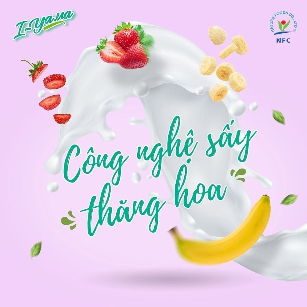 Sữa chua ngũ sắc sấy thăng hoa I.Yaua 25g hình 3