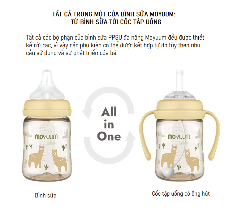 Bình sữa Moyuum lạc đà 170ml hình 7