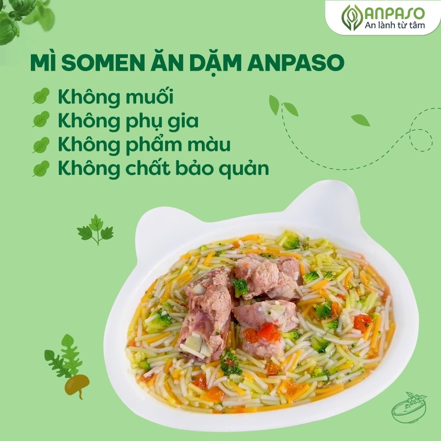Mì somen ăn dặm Anpaso vị rau củ 100g hình 2