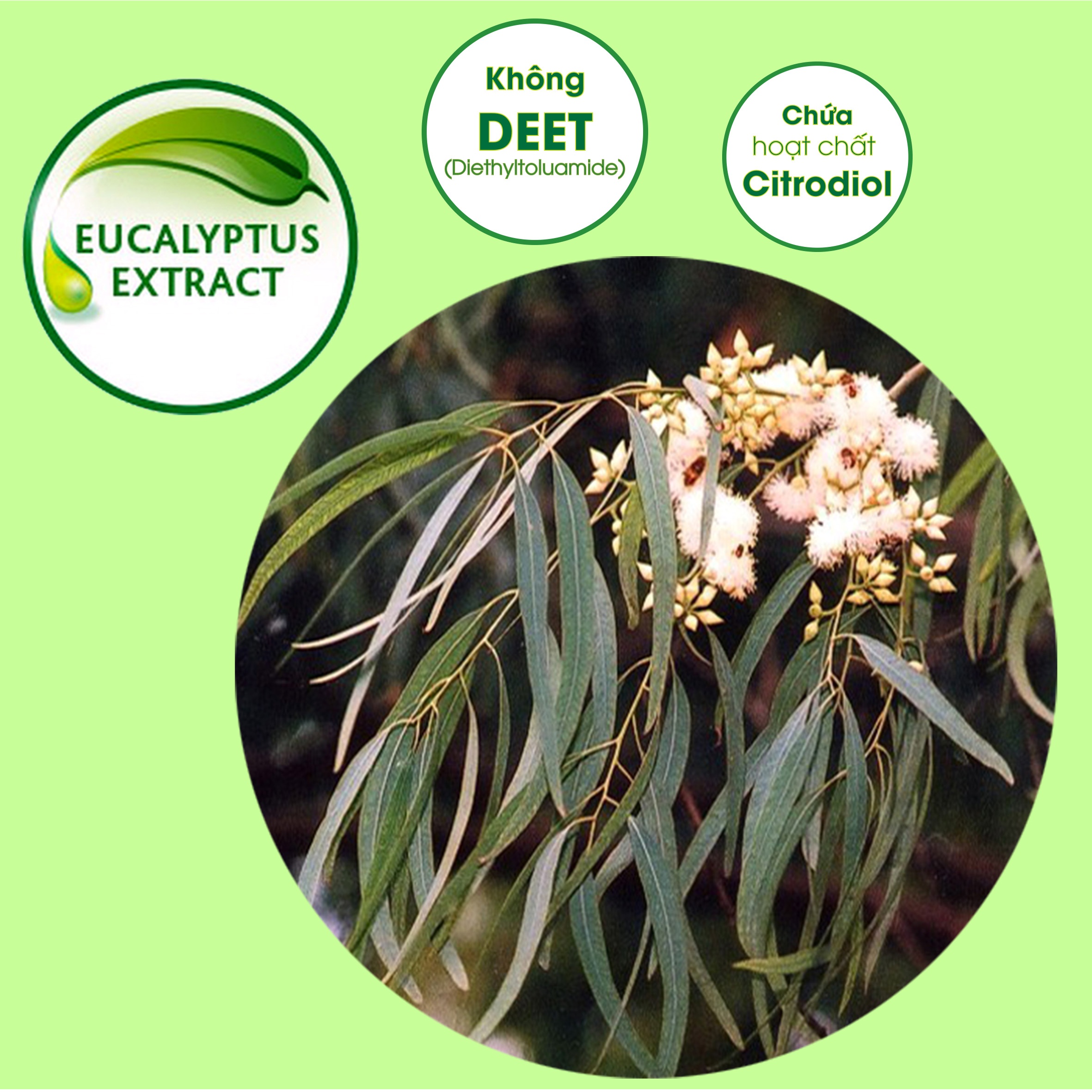 Kem chống muỗi Chicco 60ml hình 2